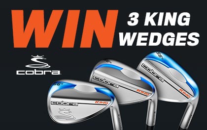Cobra Wedge Competition